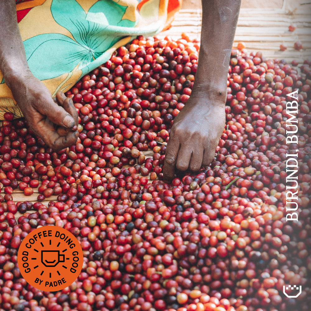Burundi Bumba Single Origin Filter