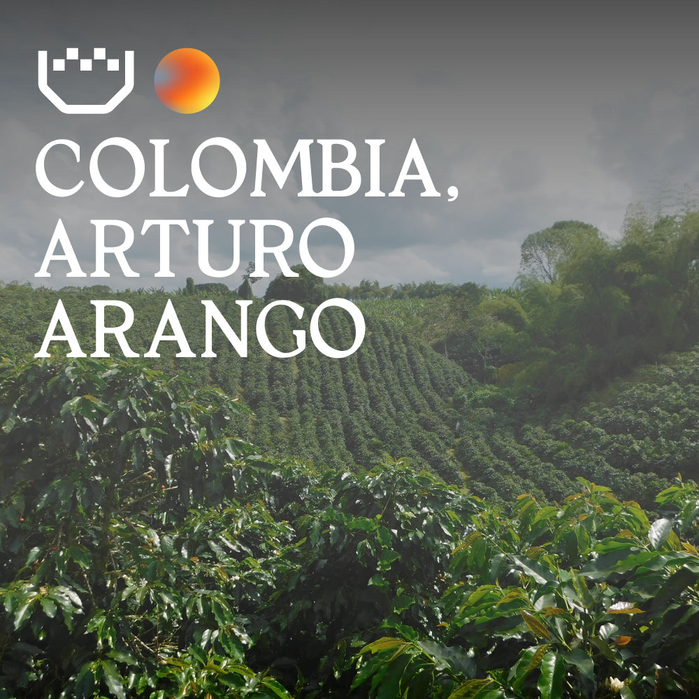 Colombia, Arturo Arango - Single Origin Espresso