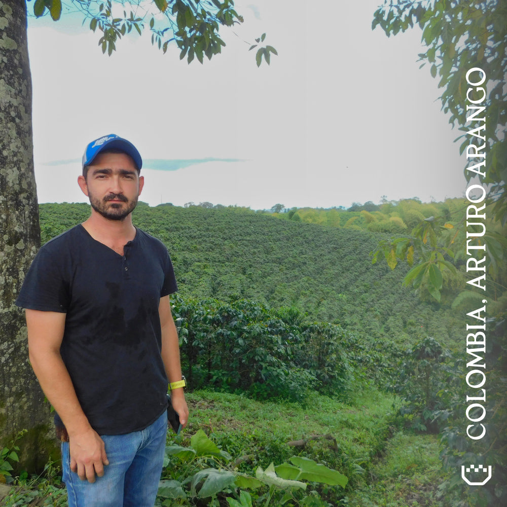 Colombia, Arturo Arango - Single Origin Filter