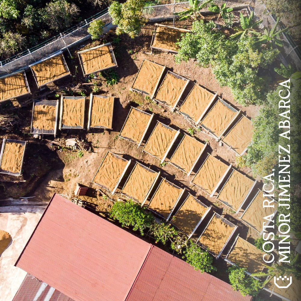 Costa Rica, Minor Jimenez Abarca
