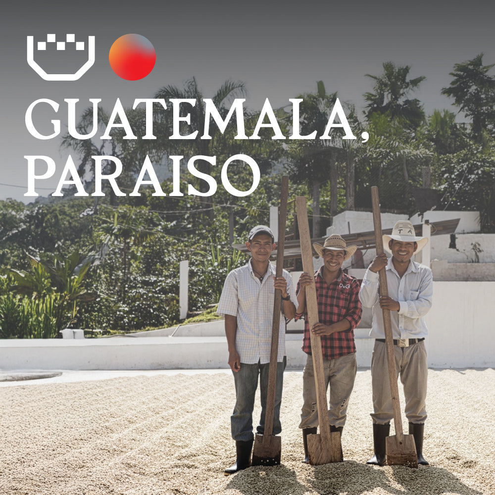 Guatemala Paraiso - Single Origin Espresso