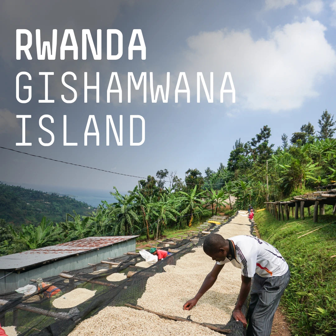 Rwanda Gishamwana Island - Single Origin Espresso