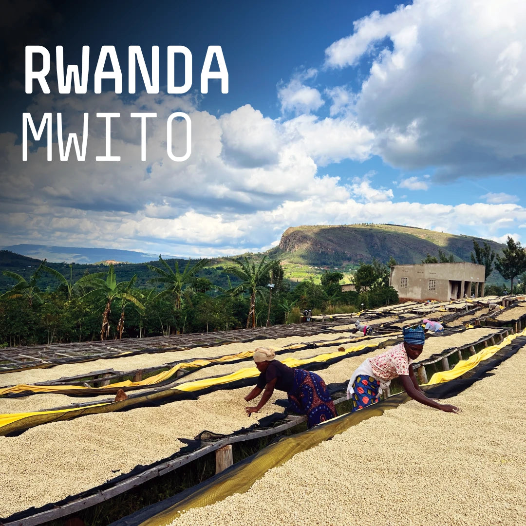 Rwanda Mwit - Single Origin Espresso
